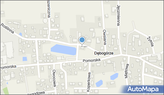 Inter Trans Karolina i Józef Nadolscy, ul. Roślinna 1, Dębogórze 81-198 - Przedsiębiorstwo, Firma, NIP: 9580813054