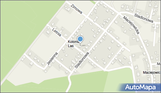 Inter-Trans, Letnia 8, Zabrzeg 43-516 - Przedsiębiorstwo, Firma, NIP: 6521648787