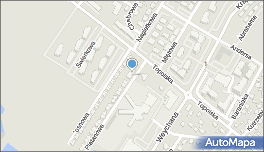 Interbis Mirosław Walenciak, Platanowa 3 lok. 4 63-000 - Przedsiębiorstwo, Firma, numer telefonu