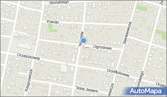 5342345093, Irena Bożena Magdziarz CAR-MAX Irena Magdziarz 