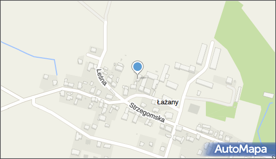 Irena Golecka, Strzegomska 26, Łażany 58-130 - Przedsiębiorstwo, Firma, NIP: 8842101444