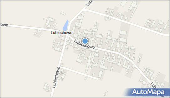 Ireneusz Błażejewski Irpol Usługowo-Handlowa, Lubiechowo 15 64-061 - Przedsiębiorstwo, Firma, NIP: 9950041277