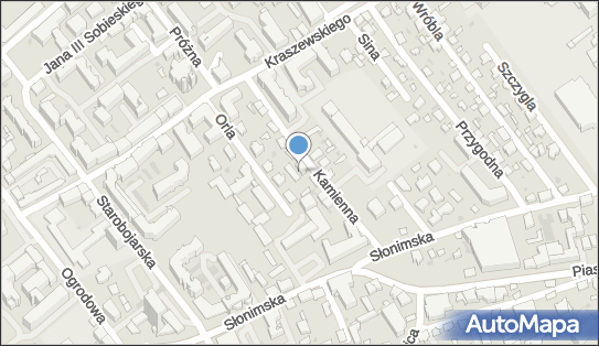 Ireneusz Romański, Kamienna 6A, Białystok 15-021 - Przedsiębiorstwo, Firma, NIP: 5421052362