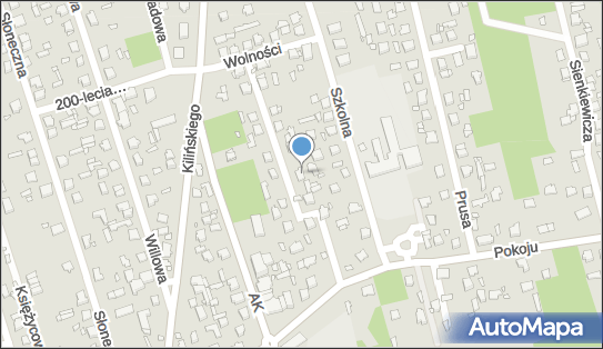 Irtrans Marcin Kąca, ul. Ogrodowa 6, Mrozy 05-320 - Przedsiębiorstwo, Firma, NIP: 8221889341
