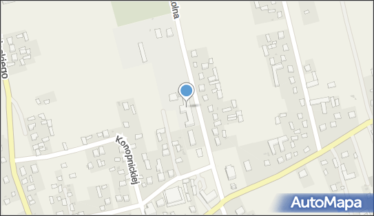 Iwona Cieślińska - Działalność Gospodarcza, Szkolna 3 22-335 - Przedsiębiorstwo, Firma, numer telefonu, NIP: 9221812988