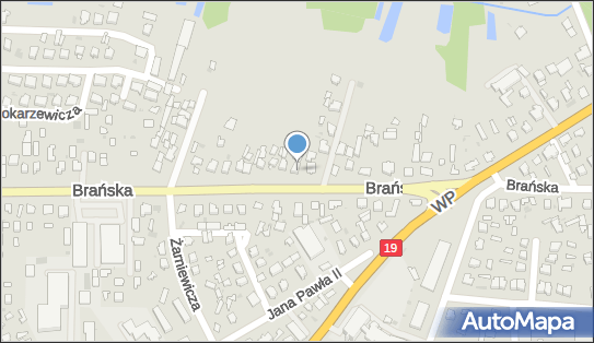 Iwona Wasilewska - Działalność Gospodarcza, Brańska 36 17-100 - Przedsiębiorstwo, Firma, NIP: 5430005103