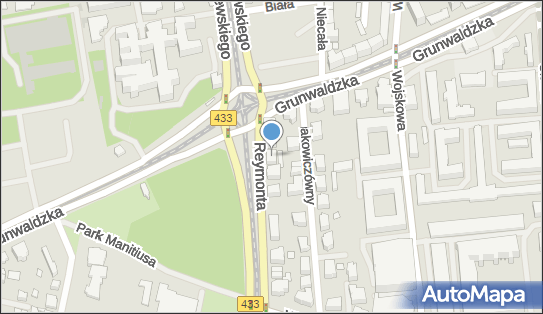 Izabela Birecka Pozena, ul. Władysława Reymonta 5, Poznań 60-791 - Przedsiębiorstwo, Firma, NIP: 9840072288