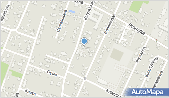 Izabela Piechota - Działalność Gospodarcza, Pruszków 05-800 - Przedsiębiorstwo, Firma, NIP: 9291026427