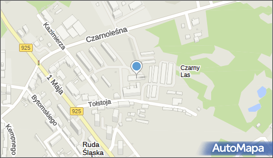 Izba Wytrzeźwień w Rudzie Śląskiej, ul. Lwa Tołstoja 11 41-709 - Przedsiębiorstwo, Firma, numer telefonu, NIP: 6412520982
