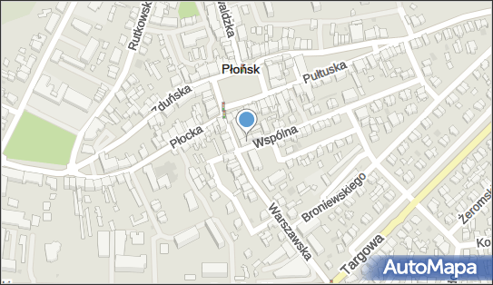 IZEX, Wspólna 1, Płońsk 09-100 - Przedsiębiorstwo, Firma, NIP: 5681316444