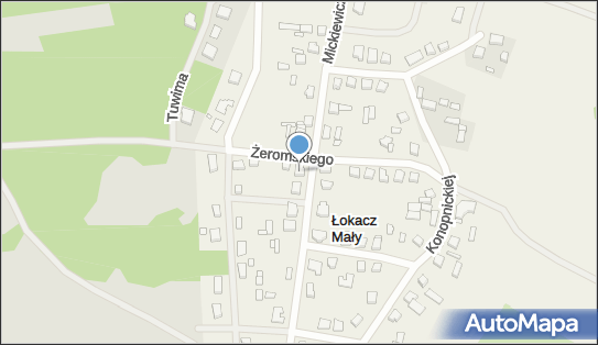 J.w.Paluszkiewicz Złotnictwo - Jubilerstwo P.H.U.Jan Paluszkiewicz 64-761 - Przedsiębiorstwo, Firma, NIP: 7811027002