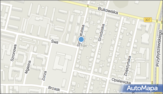 Jacek Broniszewski Finanse, ul. Szamotulska 32A, Poznań 60-366 - Przedsiębiorstwo, Firma, NIP: 4990538337