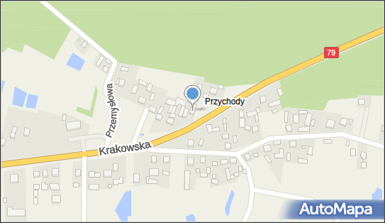 8661548118, Jacek Witek 