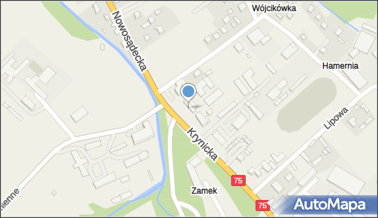 Jakub Górczyński, Krynicka 1, Nawojowa 33-335 - Przedsiębiorstwo, Firma, NIP: 7343550560