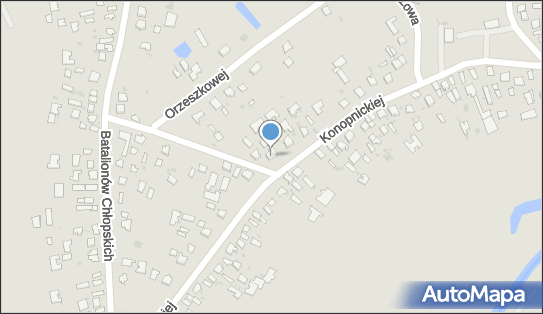 9191680587, Jakub Lebiedowicz 