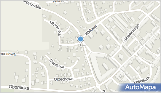 9151767307, Jakub Świdziński i Daniel Ogorzelec 