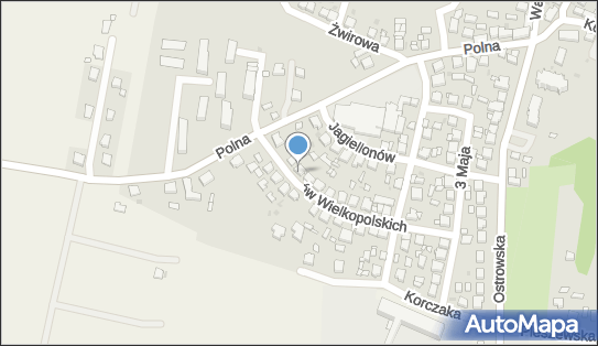 Jamry Ryszard, Powstańców Wielkopolskich 17, Raszków 63-440 - Przedsiębiorstwo, Firma, NIP: 6221402993