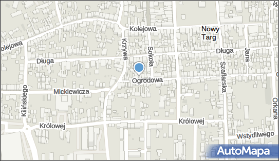 Jan Chodorowicz Konserwacja Zabytków, Ogrodowa 9, Nowy Targ 34-400 - Przedsiębiorstwo, Firma, NIP: 7352432587
