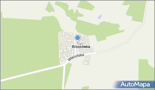 Jan Ciężki P.P.T.U.H Wrzos Eksport-Import, Wrzosowa 2, Brzozówka 98-432 - Przedsiębiorstwo, Firma, NIP: 6191002041