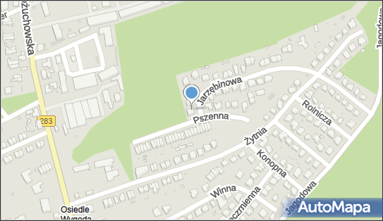 Jan Kierszniowski Optyk Kierszniowski, Jarzębinowa 1, Zielona Góra 65-012 - Przedsiębiorstwo, Firma, NIP: 8982022727