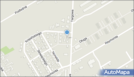 Jan Słodziński - Działalność Gospodarcza, ul. Targowa 47 62-716 - Przedsiębiorstwo, Firma, NIP: 8281012423