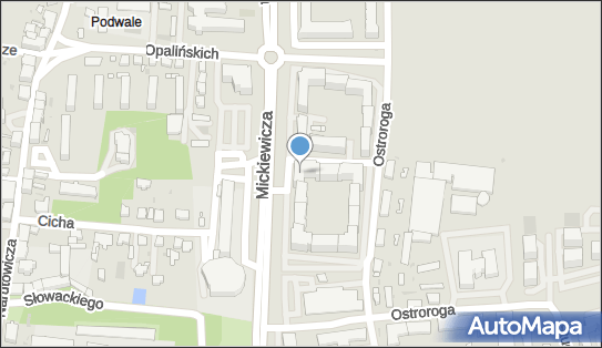 Janina Bienkiewicz Kancelaria Biegłego Rewidenta Działalność Gospodarcza Leszno 64-100 - Przedsiębiorstwo, Firma, numer telefonu, NIP: 6981214932