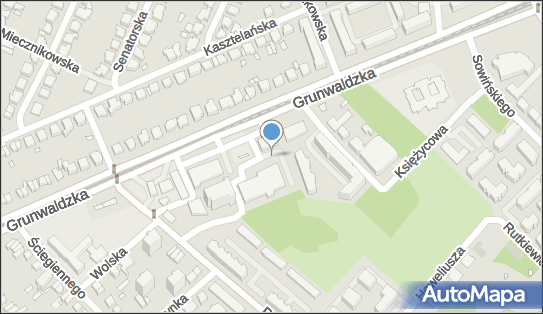 Janowski B M S Biuro Międzynarodowej Spedycji, Grunwaldzka 104 60-307 - Przedsiębiorstwo, Firma, numer telefonu, NIP: 9720919598
