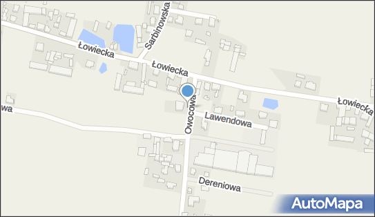 Janusz Kościelniak ' Vera, Owocowa 2a, Łowęcin 62-020 - Przedsiębiorstwo, Firma, NIP: 7771742654