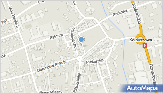 Janusz Monika Pracownia Plastyczna Monika, pl. Wolności 32 36-100 - Przedsiębiorstwo, Firma, NIP: 8141545390