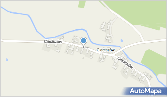 Janusz Szczurowski - Działalność Gospodarcza, Cieciszów 5 67-300 - Przedsiębiorstwo, Firma, NIP: 9241400496