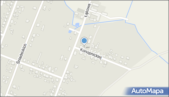 Janusz Witkowski, ul. Marii Konopnickiej 5, Janowiec Wielkopolski 88-430 - Przedsiębiorstwo, Firma, NIP: 5621020036