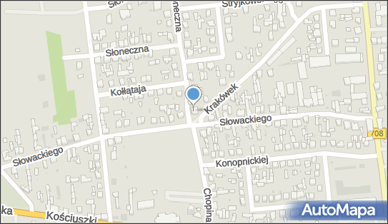 Janusz Wojciechowski, Krakówek 34, Brzeziny 95-060 - Przedsiębiorstwo, Firma, NIP: 8331248838