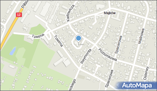 Jawina J Klocek w Szóstak i Trawnik, ul. Mieczysława Karłowicza 4 62-800 - Przedsiębiorstwo, Firma, numer telefonu, NIP: 6181877482