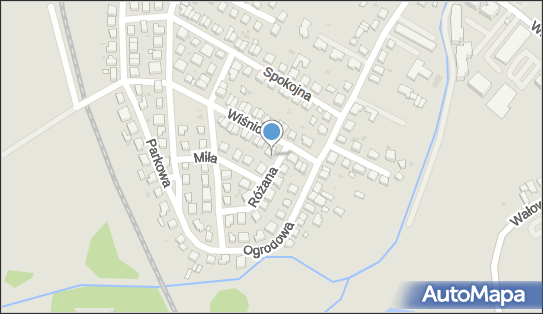 Jerzy Hofses PPH Danex Hofses Jerzy, Różana 9, Oleśnica 56-400 - Przedsiębiorstwo, Firma, NIP: 9111006559