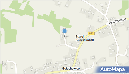 Jerzy Okarmus Lantryk, Gołuchowice 76, Gołuchowice 32-052 - Przedsiębiorstwo, Firma, NIP: 9441586643