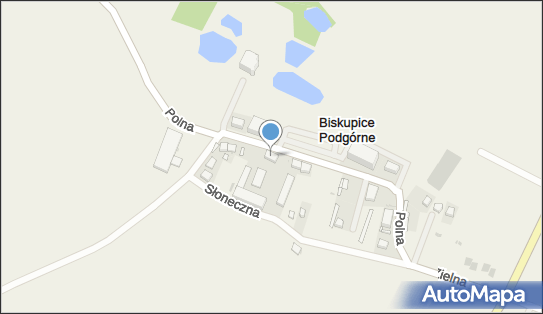 Jerzy Pankiewicz Transport Ciężarowy, Polna 9, Biskupice Podgórne 55-040 - Przedsiębiorstwo, Firma, NIP: 8951044001