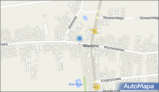 Jerzy Wolny Przedsiębiorstwo Produkcyjno Usługowo Handlowe Wolmar Jerzy i Stanisław Wolny 42-120 - Przedsiębiorstwo, Firma, NIP: 5741732696