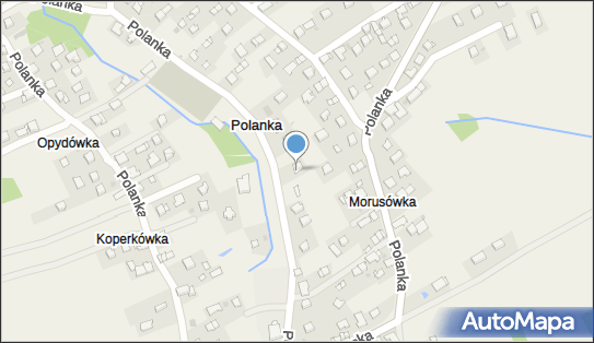 Jewgienija Winickaja Salach, Polanka 295, Polanka 32-400 - Przedsiębiorstwo, Firma, NIP: 6762384143