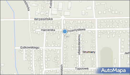 Język Angielski - Marta Roszak, ul. Powstańców Wlkp. 8, Kostrzyn 62-025 - Przedsiębiorstwo, Firma, NIP: 7772582862