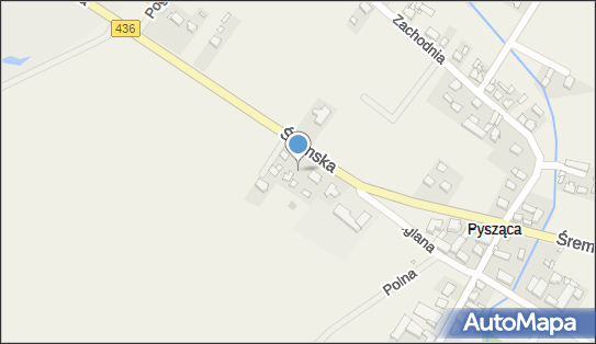 JN Projekt, Śremska 6, Pysząca 63-100 - Przedsiębiorstwo, Firma, NIP: 7850009793