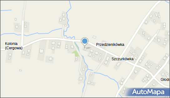 Joanna Delimata Asia, Cergowa 247, Cergowa 38-450 - Przedsiębiorstwo, Firma, NIP: 6842260584