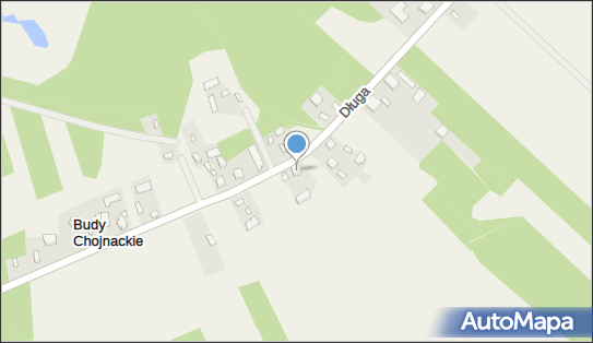 Joanna Magnuszewska, Budy Chojnackie 4, Budy Chojnackie 96-111 - Przedsiębiorstwo, Firma, NIP: 5222449654