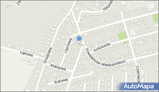 Joanna Wrona L.J.-Trans, Lipowa 12, Buk 64-320 - Przedsiębiorstwo, Firma, NIP: 7772824259