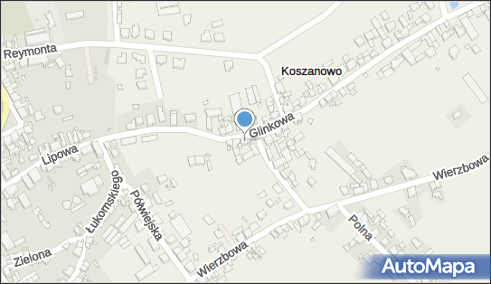 Joker, Glinkowa 12, Koszanowo 64-030 - Przedsiębiorstwo, Firma, numer telefonu, NIP: 6981693588