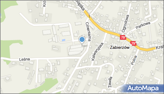 Jolanta Kruk Wspólnik Spółki Cywilnej Usługi Pogrzebowe - Wieńce i Wiązanki 32-080 - Przedsiębiorstwo, Firma, NIP: 9451128675