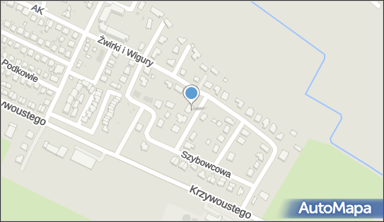 9111242892, Prywatny Specjalistyczny Gabinet Lekarski Jolanta Szymańska - Franckiewicz 