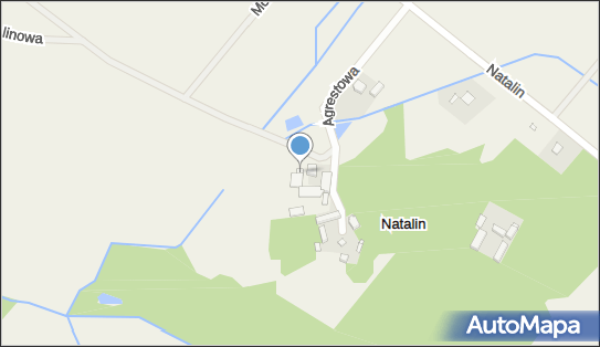 Józef Pietrzak Piedrew Tartak, Natalin 1, Natalin 62-874 - Przedsiębiorstwo, Firma, NIP: 9680388030