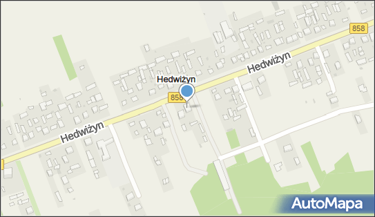 Julian Nieczaja - Działalność Gospodarcza, Hedwiżyn 77 23-406 - Przedsiębiorstwo, Firma, NIP: 9181295600