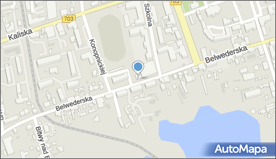 Justyna Galasińska - Działalność Gospodarcza, Belwederska 20 99-100 - Przedsiębiorstwo, Firma, numer telefonu, NIP: 7752006569