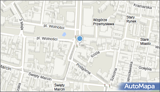 JW Sasza, Aleje Karola Marcinkowskiego 11, Poznań 61-827 - Przedsiębiorstwo, Firma, NIP: 7772637451